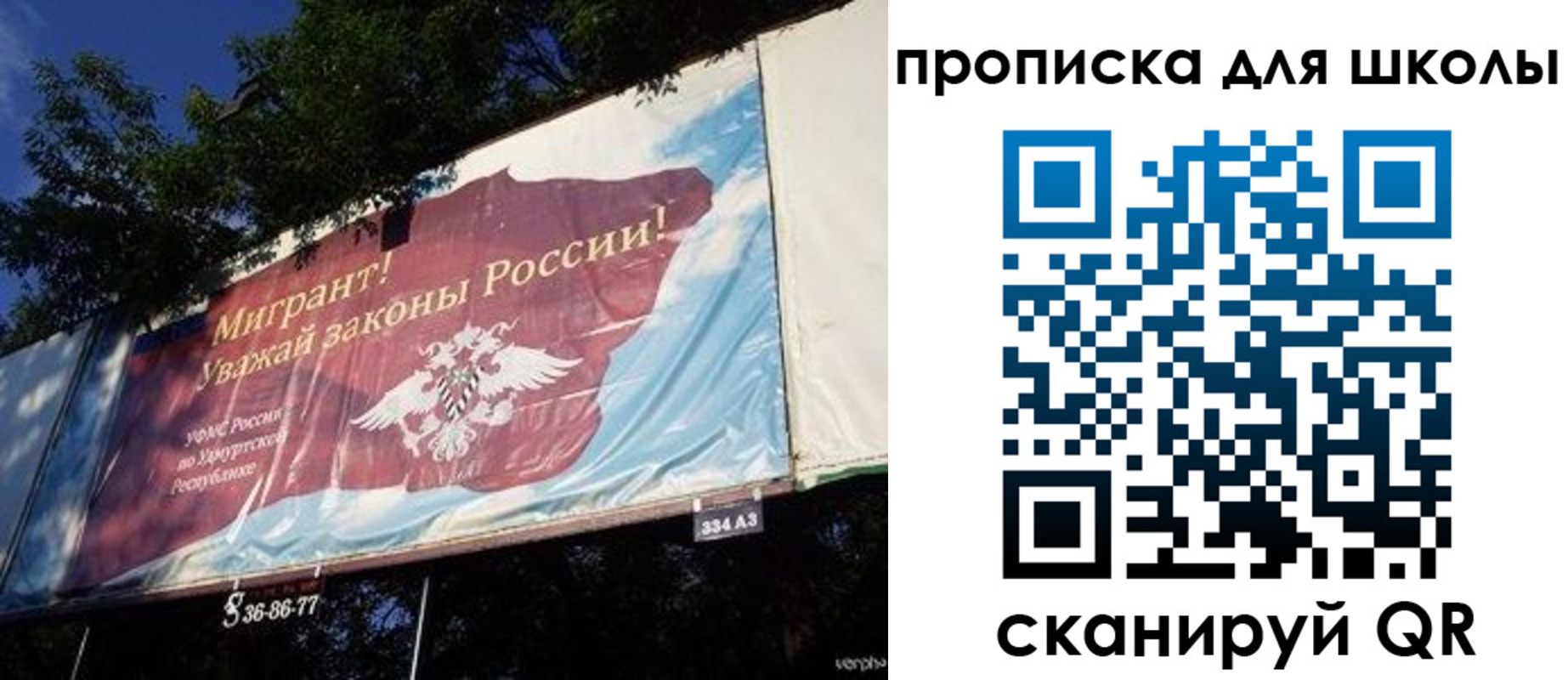 прописка для работы в Рошале